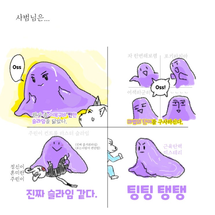  사범님