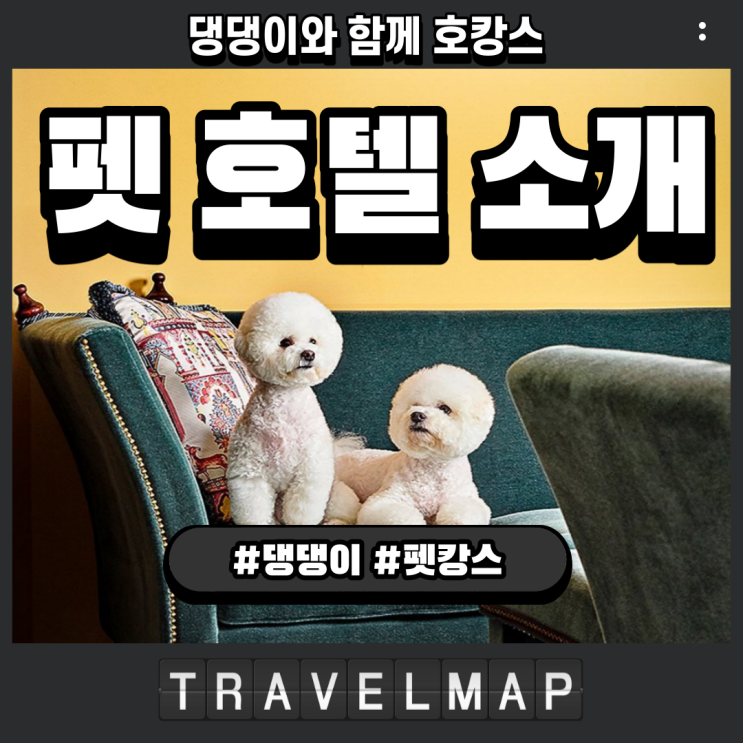  댕댕이와 함께하는 호캉스, 펫 호텔 소개