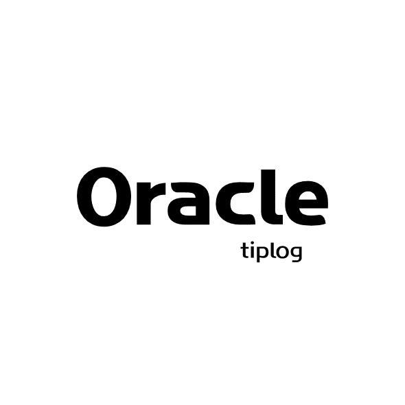 데이터 타입 LOB,BLOB,CLOB,NCLOB 정리(Oracle Data Types 참조)