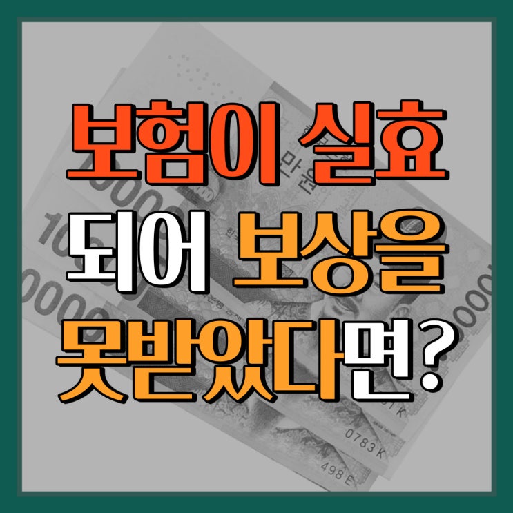 보험이 실효되어 보상을 못 받았다고요?! 제가 해결해 드리죠^^