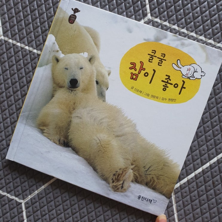  웅진/첫지식그림책콩알/쿨쿨잠이좋아!