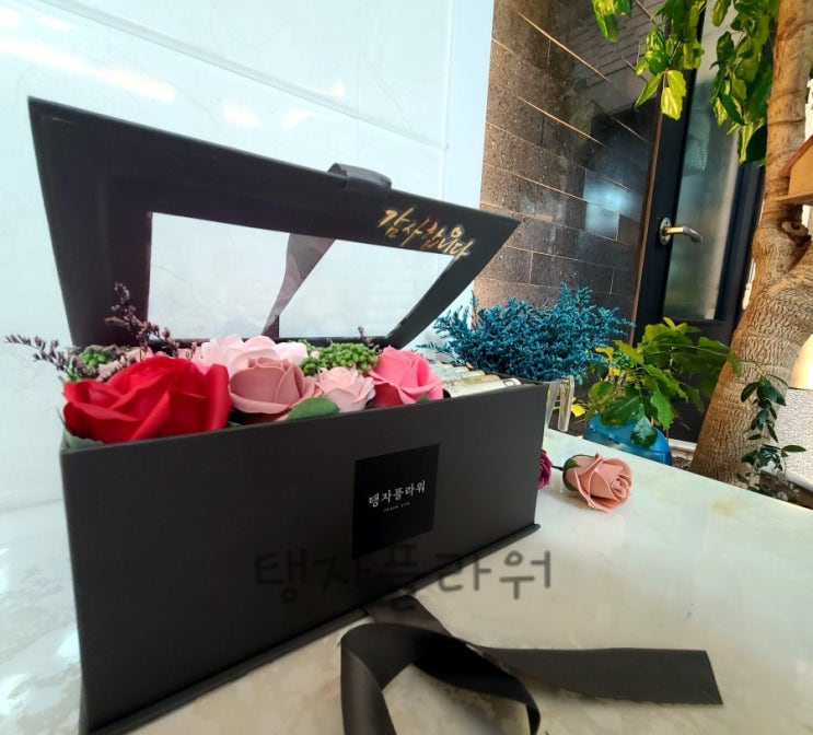  전주 비누꽃 상자 탱자의작은정원 도경플라워 에서~
