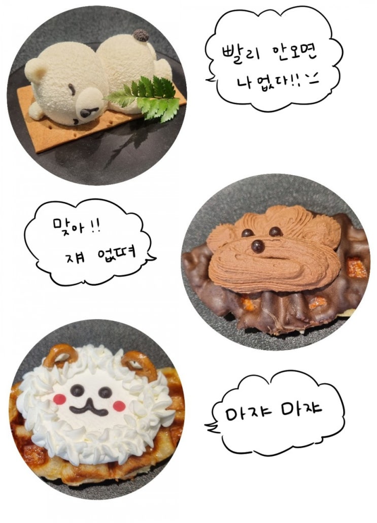  [샤로수길]고요서울 카페 크로플,말차라떼 후기(ft.늦게가면 곰 없음)