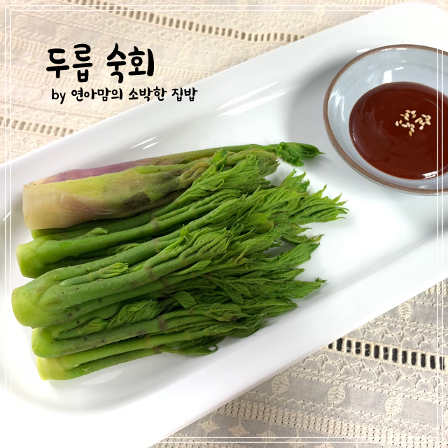  두릅 숙회 손질방법 초고추장과 함께 먹어야하는 이유