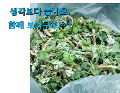 신뢰가는 남해쑥 꿀템 맘에 쏙 드네요 신뢰가는 남해쑥 꿀템 맘에 쏙 드네요