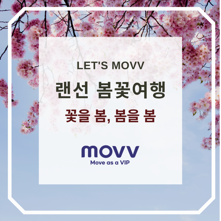  무브와 함께 떠나는 랜선 봄꽃 여행, Let's MOVV