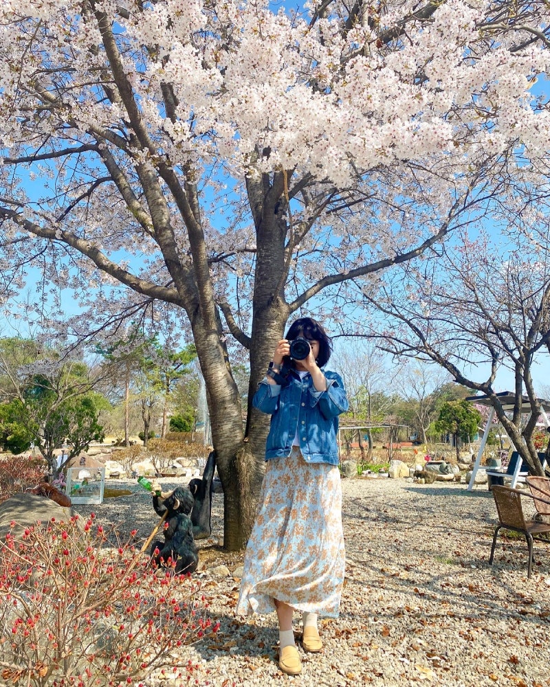사진 5
