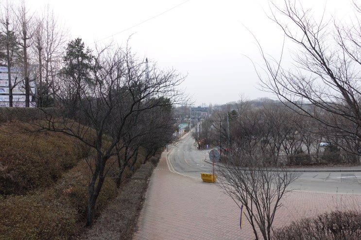  빈혈 증상 원인과 치료