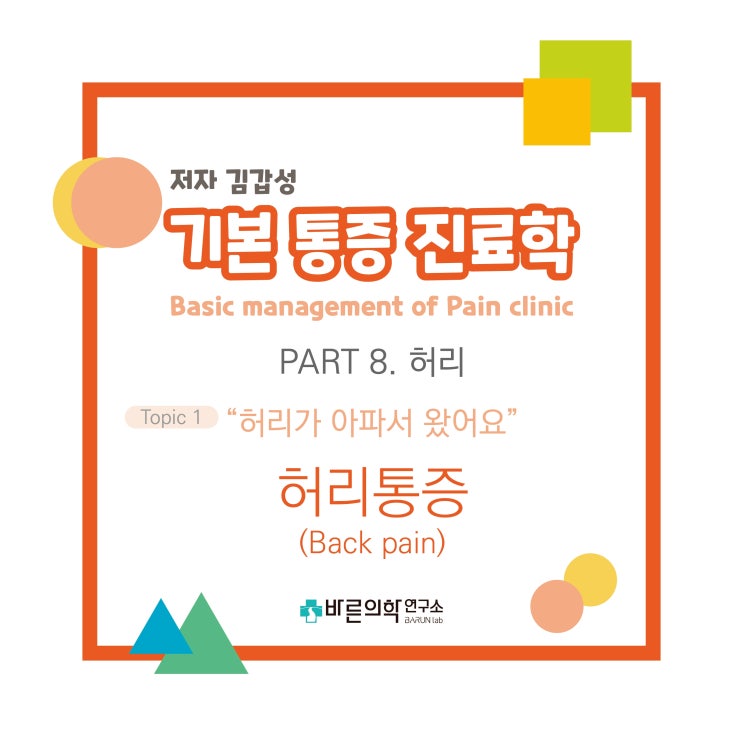  [기본통증진료학] 허리/허리통증/Backpain/척추기립근/추간관절증/대요근/좌골신경+늑골신경/척추신경후지차단술/천장관절블록