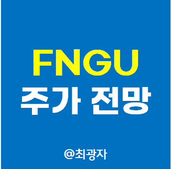 FNGU - 야수의 심장을 가진 3배 기술주 레버리지 ETN