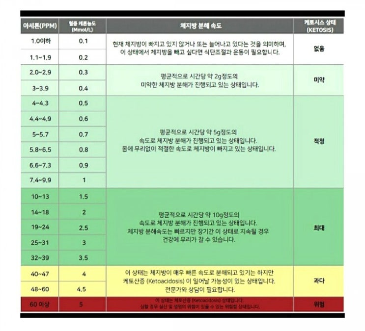  케토스캔 라이트로 케톤 치수 쉽게 측정할 수 있어요
