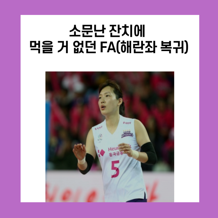  소문난 잔치에 먹을 거 없던 FA(해란좌 김해란 복귀)