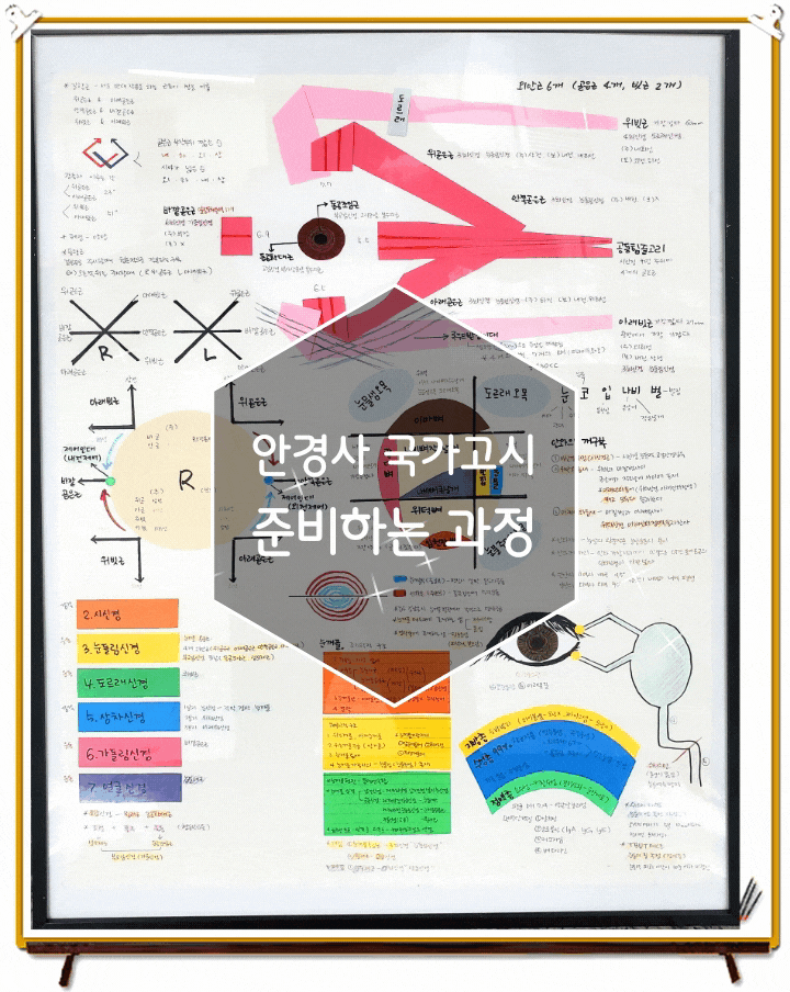  안경사 국가고시 확실하게 대비 안경사학원 메디메이트