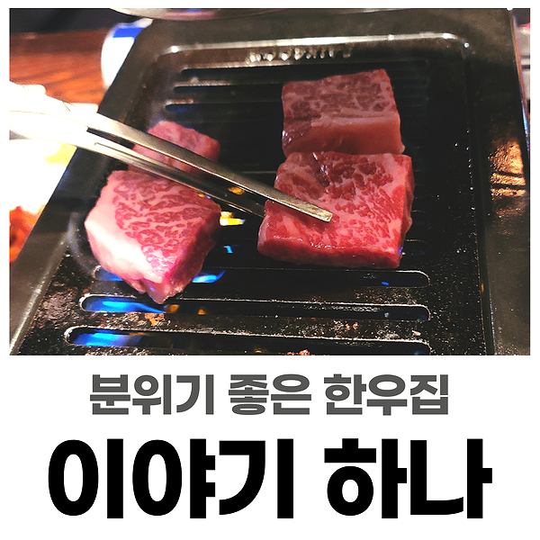 강남역 맛집 / 신논현 맛집 : 한우는 이야기 하나