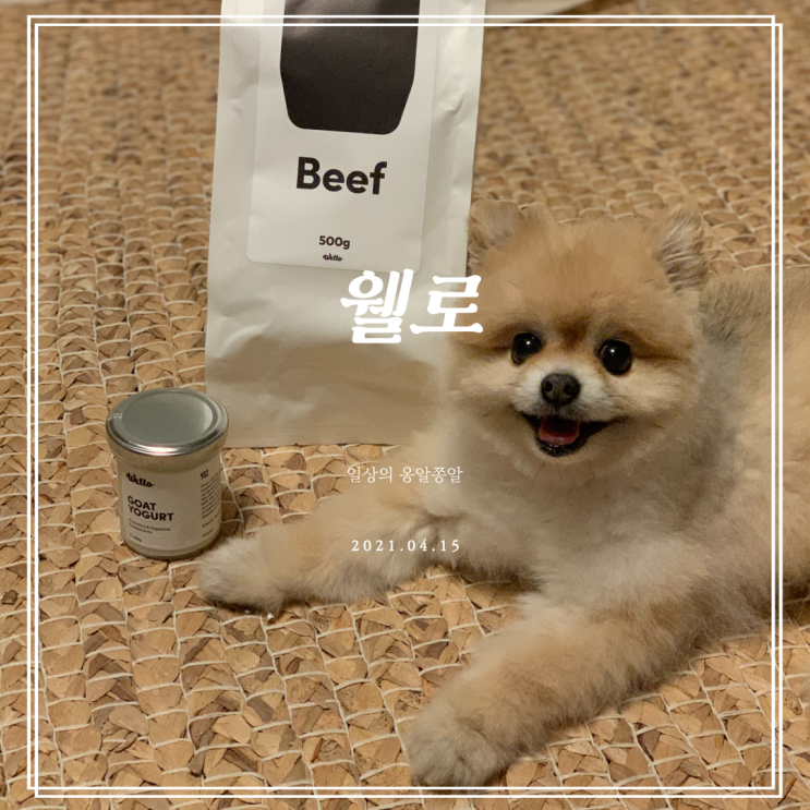  강아지 생자연식 & 화식으로 유명한 웰로(wello)