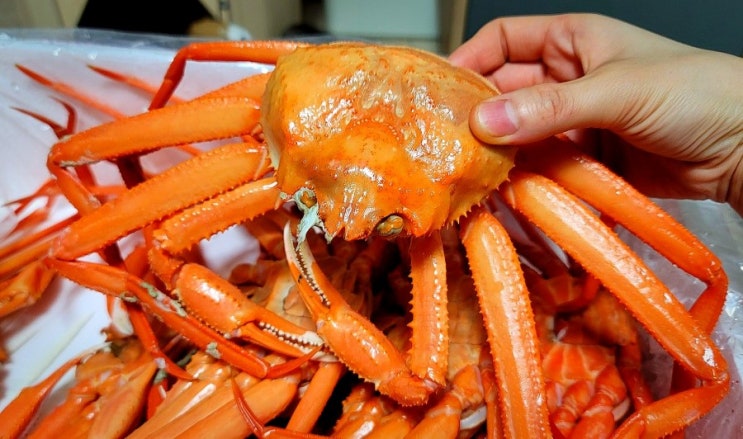 대구 비산동 맛집,나리네농수산(매천시장 홍게, 대게, 가리비, 해산물)