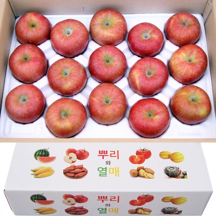 당신만 모르는 뿌리와열매 청송 꿀 부사 사과 선물용 정품 5kg 10kg 대과 중과 소과 설 추석 어버이날 선물세트 제사용 제수용, 1개, 선택6. 선물용 15-16과 5kg 추천 당신만 모르는 뿌리와열매 청송 꿀 부사 사과 선물용 정품 5kg 10kg 대과 중과 소과 설 추석 어버이날 선물세트 제사용 제수용, 1개, 선택6. 선물용 15-16과 5kg 추천