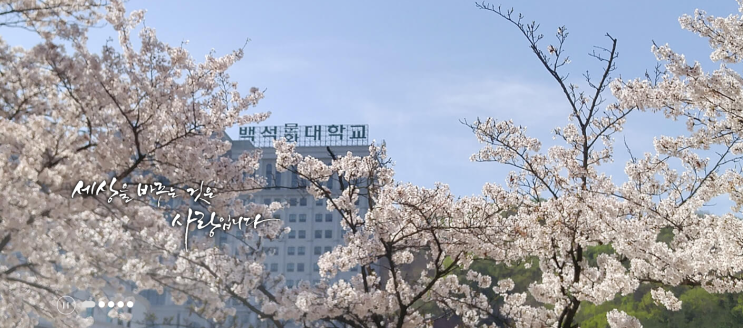 백석문화대학교 공학계열 스마트미디어학부 백석문화대학교 공학계열 스마트미디어학부