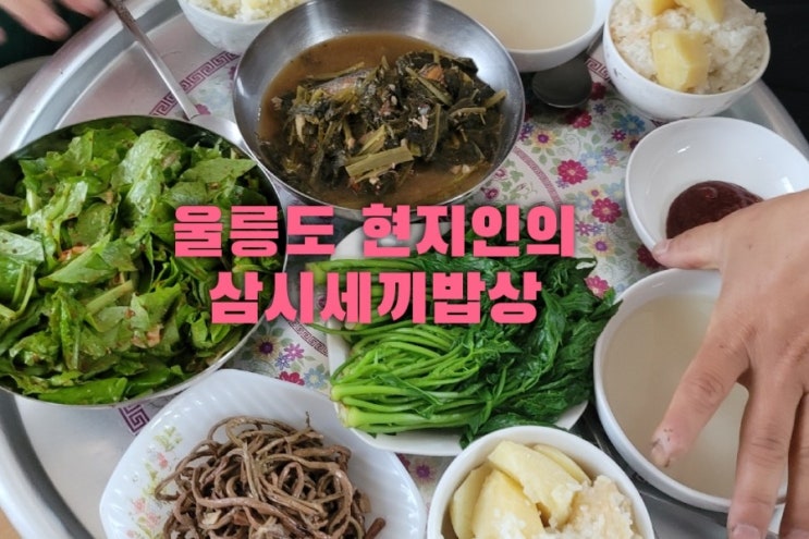  울릉도나물 밥상 -  울릉도 현지인의 삼시세끼