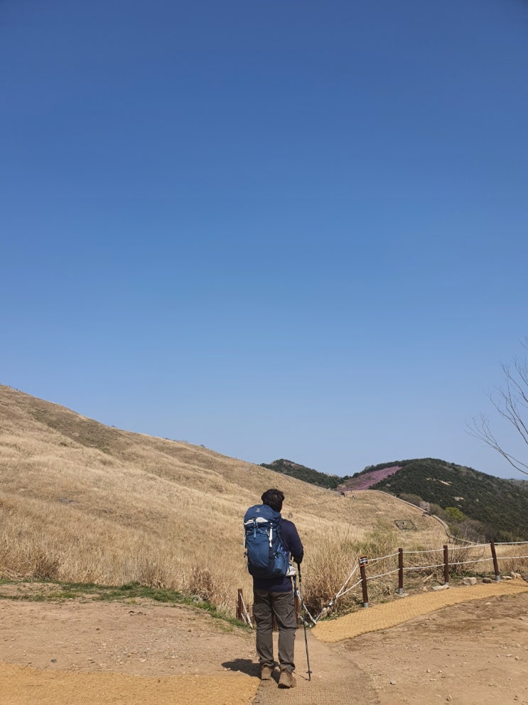 화왕산! 진달래 산행!