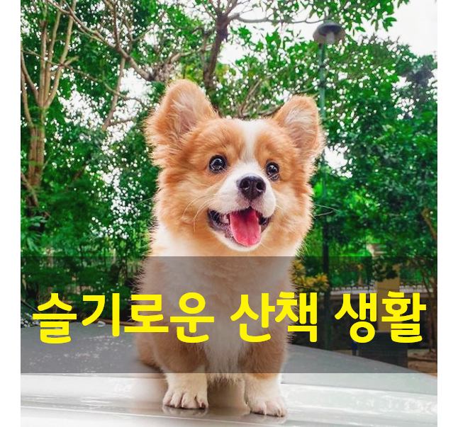  봄철 슬기로운 진드기 퇴치 방법