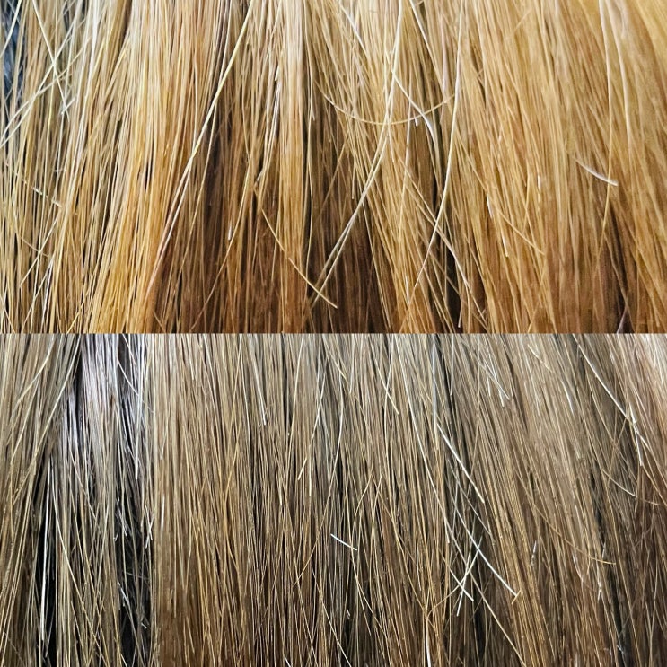  올리브영 염색약 추천 푸딩 애쉬그레이 유지기간
