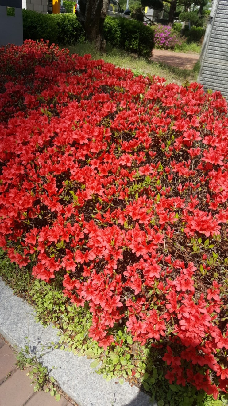  포일자이 주변 사진 4/15