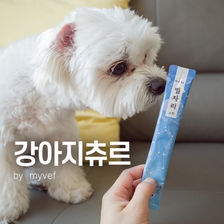  강아지간식 애견영양제 츄르 별자리스틱 (마이베프) 후기
