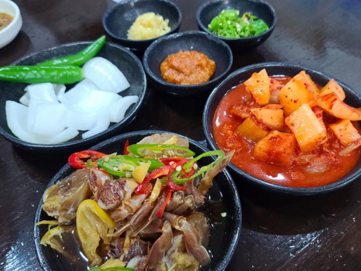  제주시청 맛집 백성원해장국 즉흥여행 아침식사