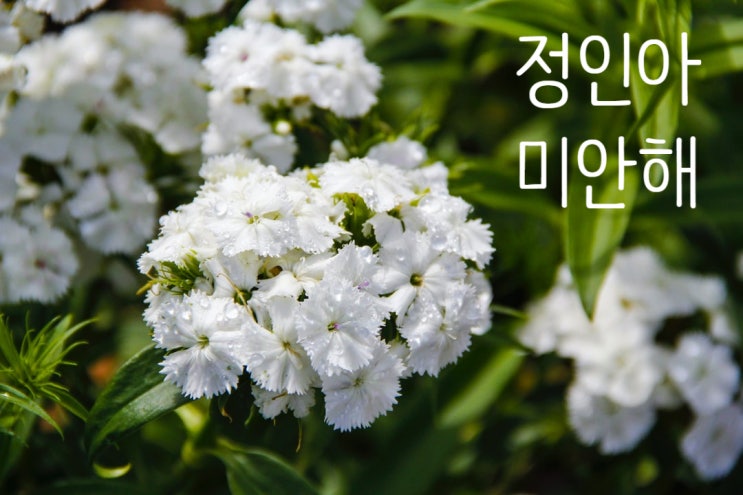  정인이 재판 결과, 사형선고! 인간의 탈을 쓴 짐승들..