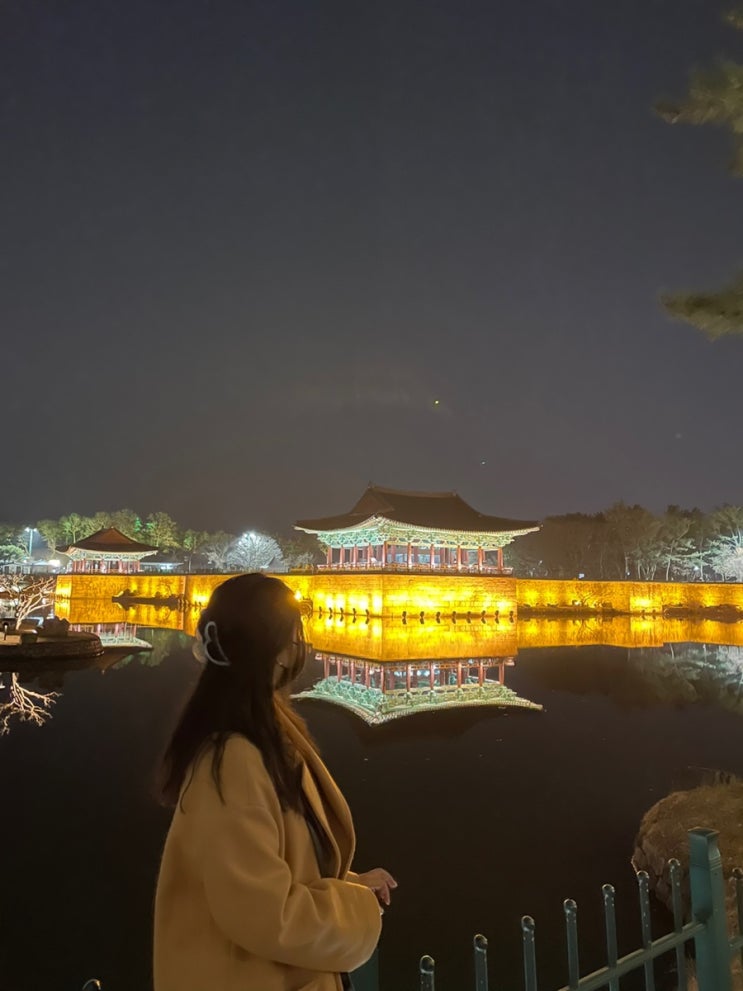  [경주여행코스] 경주 야경 대릉원 ,안압지 ,월정교 ,첨성대, 리초야 +경주여행 2일차(2박3일)