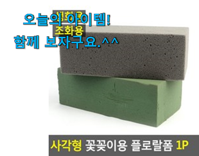 초대박 꽃꽃이 스펀지 아이템 맘에 쏙 드네요 초대박 꽃꽃이 스펀지 아이템 맘에 쏙 드네요
