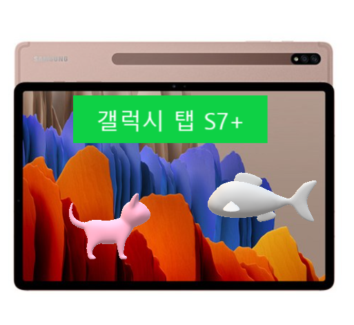 더크게!더선명하게! 삼성전자 갤럭시 탭S7+ 12.4 Wi-Fi 256GB