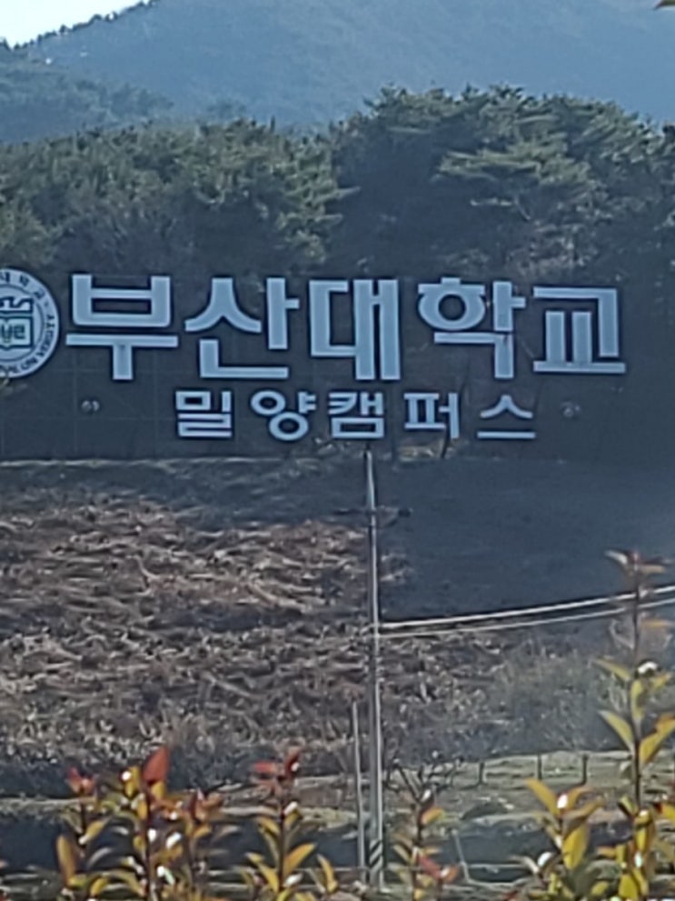  교류분석 에릭번 Ware 시퀀스 재기 넘치는 회의자 성격적응 감정코칭
