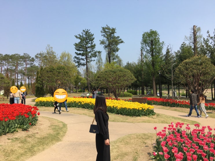 [대전 유림공원] 나들이 하기 좋고 튤립이 피고 있는 대전 봉명동 유림공원!!
