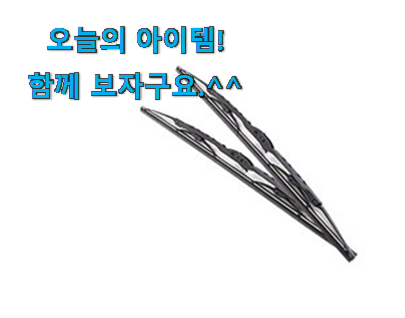 인생템 카니발 와이퍼 모두의 선택 갖고싶네요. 인생템 카니발 와이퍼 모두의 선택 갖고싶네요.