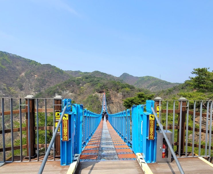  [일상] 원주 소금산 출렁다리 공기가 너무 상쾌한 그곳
