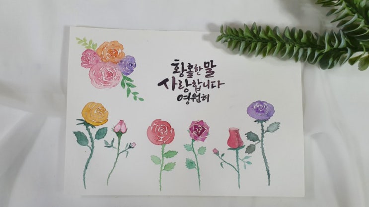 수채화캘리 다양한 장미그리기/캘리그라피 글씨