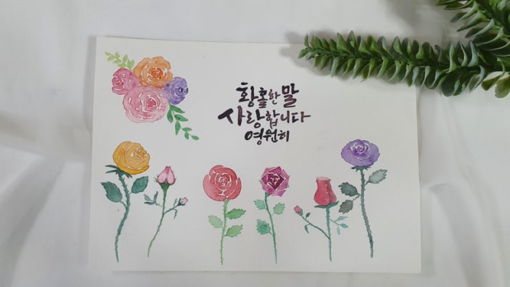  수채화캘리 다양한 장미그리기/캘리그라피 글씨