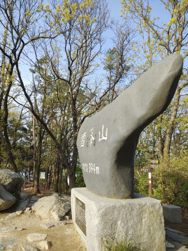 오늘 아침 설봉산(20210415) 오늘 아침 설봉산(20210415)