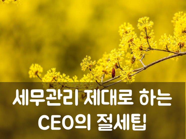  세무관리 제대로 하는 CEO의 절세팁