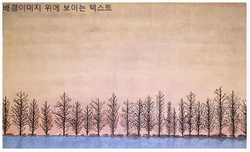  CSS / 배경이미지 삽입