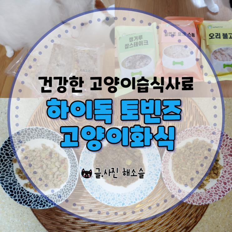  건강한 고양이습식사료, 하이독 토빈즈 고양이화식 급여 후기