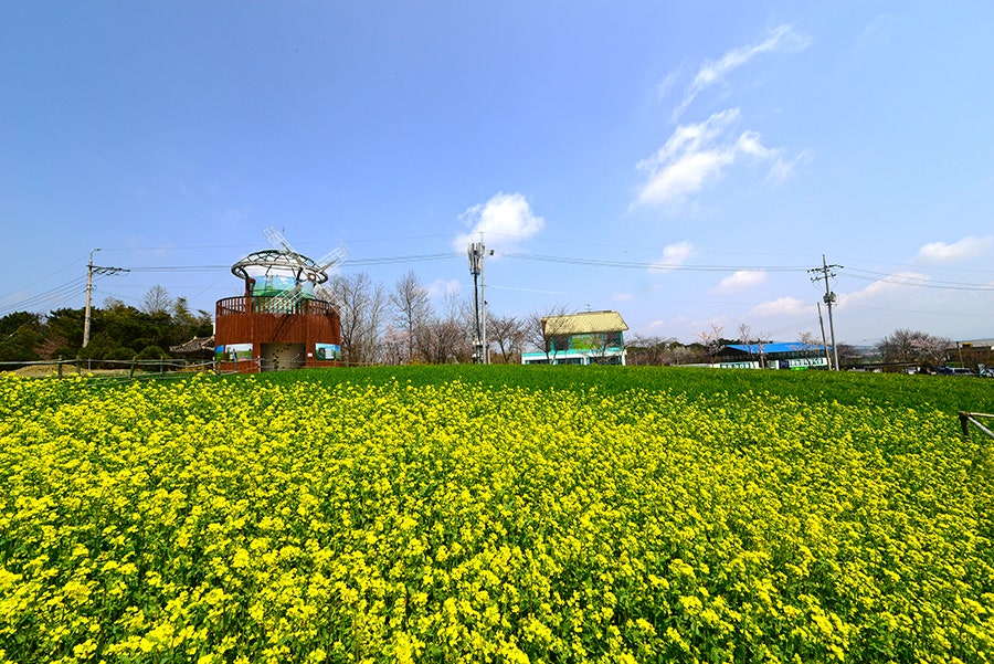 선운사골든캐슬 사진 5