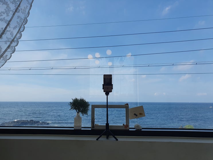  카페W3075-제주 동쪽 돌고래를 만날 수 있는 북적거리지 않는 카페 (세화해변 근처):카페이름이 꾸끼로 변경되었어요