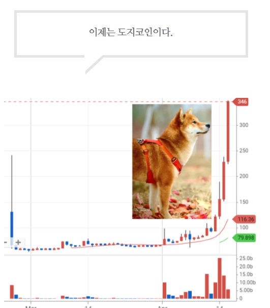  [비트코인]이더리움 클래식 도지코인!!8배수익