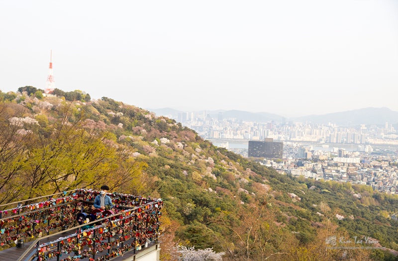 주말여행 남산케이블카로 서울타워 가고, 남산공원 산책로 따라 둘레길 걷기 : 네이버 블로그