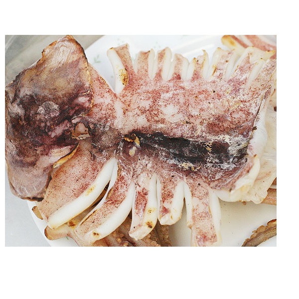 가성비 좋은 대일수산 반건조 파품 오징어 피데기, 1kg, 1개 추천해요 가성비 좋은 대일수산 반건조 파품 오징어 피데기, 1kg, 1개 추천해요