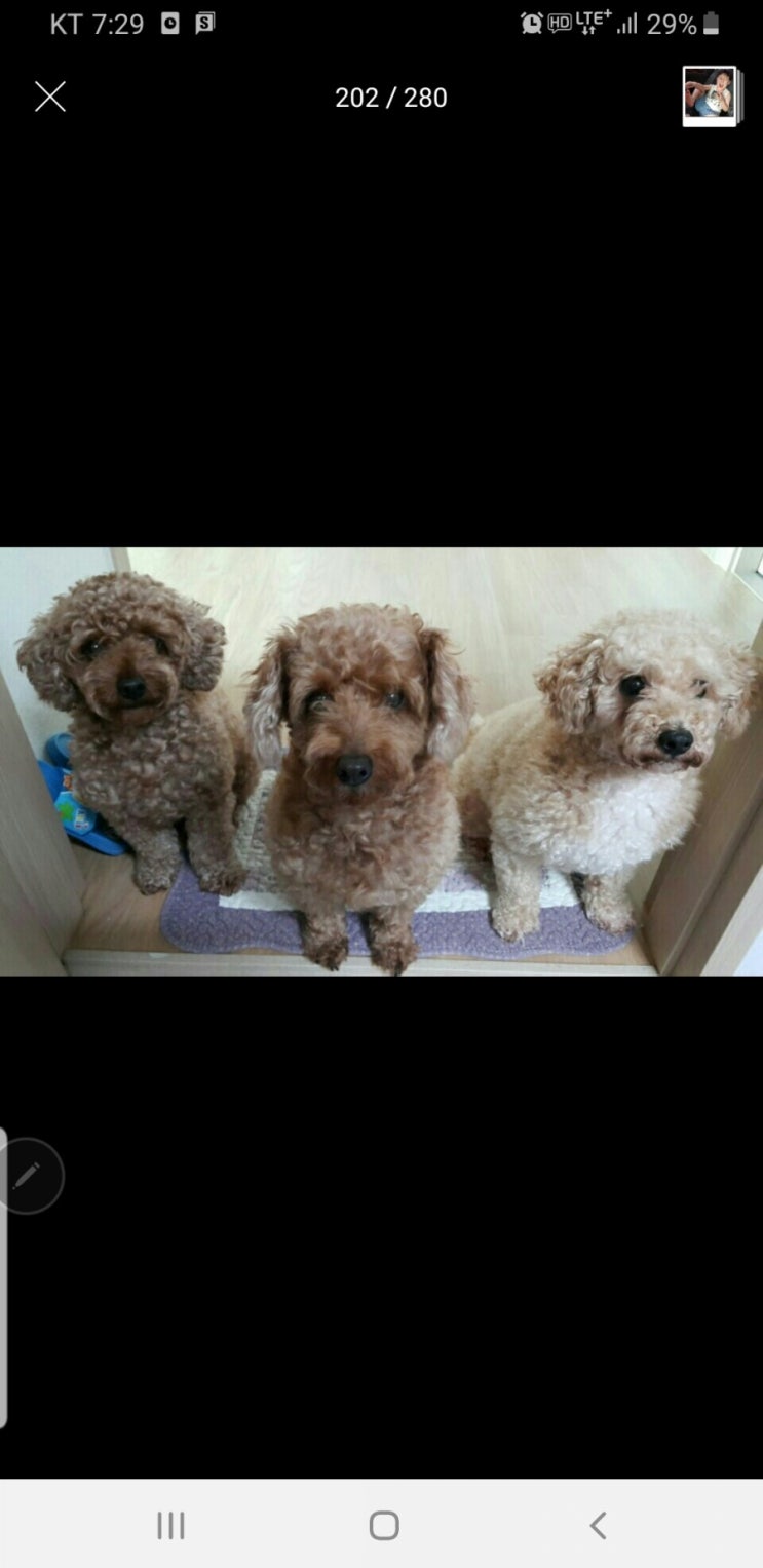  콩이진짜엄마랑동거인