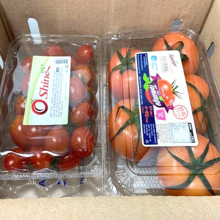 최근 인기있는 푸드삼대장-토망고(완숙) 1팩 + 샤인마토(방울)1팩 1.5kg, 토망고 1.0kg X 1팩 + 단마토 500g X 1팩 추천해요 최근 인기있는 푸드삼대장-토망고(완숙) 1팩 + 샤인마토(방울)1팩 1.5kg, 토망고 1.0kg X 1팩 + 단마토 500g X 1팩 추천해요